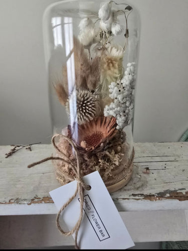 Native and preserved  Terrarium with Clear Quartz